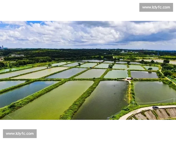 启迪系符文奥秘探寻与智慧力量全面解读指南