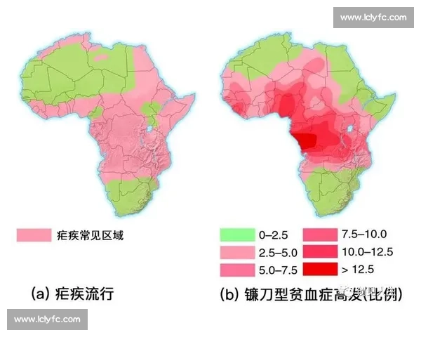 基于数据与战术演化视角的现代体育运动表现分析与竞技策略优化研究